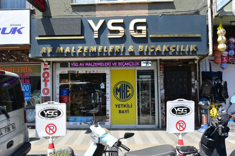 Giriş